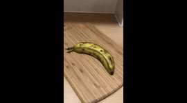 Captive Cakes - Banana