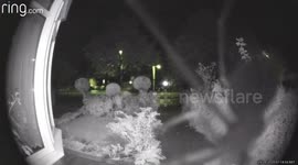 Spider sets off Ring Doorbell alarm In the early hours of the morning
