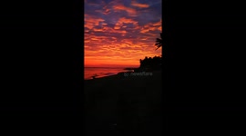 Leap Year Sunset