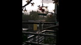 Chime in the rain