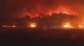 South America on fire: Livestock producers are responsible for thousands of fires in the region