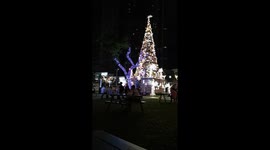 Christmas celebration