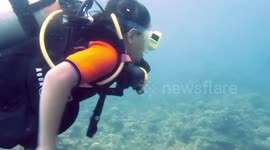Schoolgirl scuba diver becomes youngest ever in the Philippines to reach 17.3 metres