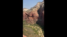 Once extinct California condor glides through Zion National Park after being reintroduced