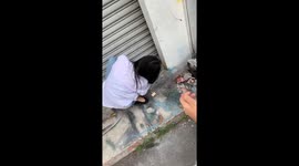 Kind-hearted girl saves trapped kitten in a closed shop