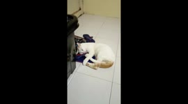 he likes hugging things.
