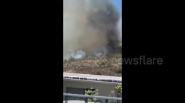 US: Brush Fire Breaks Out Near UH Manoa Campus In Honolulu 4