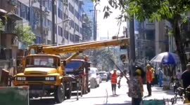 Construction workers in China's Chengdu illegally cut down nearly 150 trees