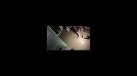 Group of friends chase the mouse together