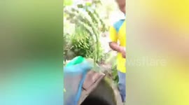 Stray dog rescued from abandoned well in southern Thailand