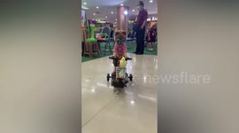 Pomeranian And Cockatoo Ride Electric Bike