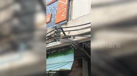 Cat Pokes Head Through Hole In Building