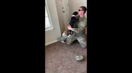 Over-excited dogs greet US owner after return from 9-month deployment