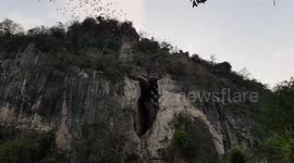Hundreds of thousands of bats flying as one! (part 2/4)