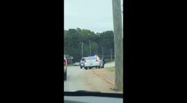 When you’re just trying to get to your final destination and this guy shows up...Mornin’ Greer!