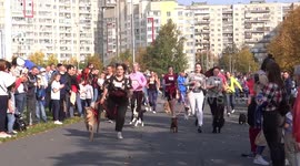 Dozens of dogs and their owners take part in a fun run in St. Petersburg