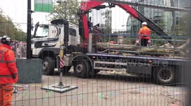HS2 rail link contractors cut down ‘Cumberbatch’ tree at London Euston.