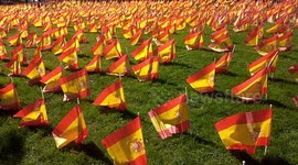 53,000 Spanish flags planted in Madrid park in memory of COVID-19 victims