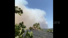 US: Glass Fire Erupts In Napa County Prompting Evacuation 4