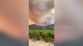 Flames rage on hillside in Napa County, California as Glass Fire continues to grow