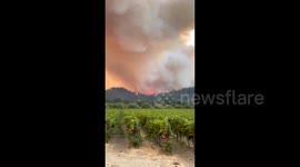 US: Glass Fire Erupts In Napa County Prompting Evacuations 7