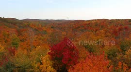 Fall colors in Quebec, Canada are a sight to see