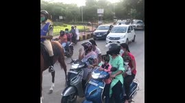 A woman startled by horse tail