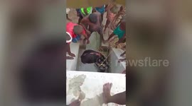 Buffalo rescued from narrow water channel in southern India