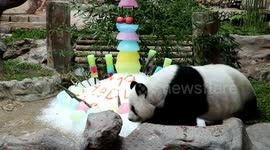 Giant panda celebrates 19th birthday at Thai zoo