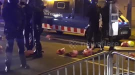 Spain: Pig Heads Thrown At Police During Catalan Protest In Barcelona