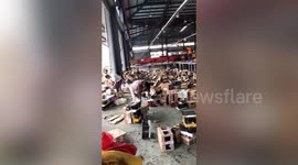 Pets transported in boxes die after they were left at logistics park in China