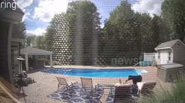 Curious bear wakes up sunbathing man by nudging his foot in Massachusetts