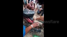 Cobra finds hiding spot in moped bike’s tool box in eastern India