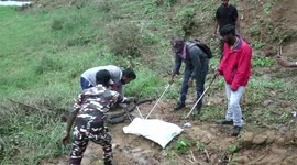 Deadly and monstrous 11-foot-long king cobra rescued in southern India