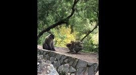 An exceptional moment in nature