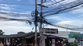 Wild monkey sparks panic walking along electricity cables in Thailand