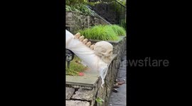 Holy chute! Genius candy delivery system spotten in preparation for socially distant Halloween
