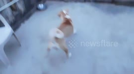 deafficult ball play