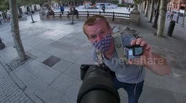 Wildlife Photographer Excitedly Celebrities The Arrival Of Majestic Stork Returning To Its Nest