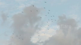 Couple Witness The Moment When 150 Storks Return To There Autumn Home In Alcala Madrid