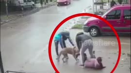 Violent pit bull attacks a 7-year-old girl in Argentina as she was walked with her mother