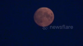 Moon makes stunning appearance above St. Petersburg