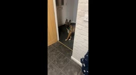 Not Having my toys dad, trust me