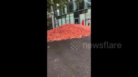 Tons of carrots randomly appear at Goldsmiths University in London