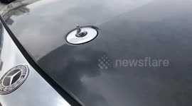 Chinese man steals Mercedes-Benz hood ornaments to turn them into jewellery