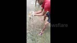 Locals elated after floodwaters wash thousands of tiny 'exotic' fish into Indian village