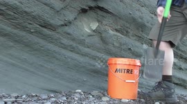 Dozens of 8-million-year-old fossil shark teeth found in New Zealand