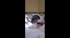 Yeah Daddy!!! That's The Spot!!!
