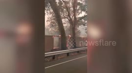 Glass Fire burns forests In Napa County, California