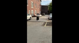 Cops Encounter Bear